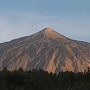 https://oasis-hill.tenerifehoteles.net