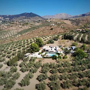 https://finca-amorosa.es-andalucia.com